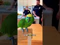Parrot Roasts Police Officer About His Daughter 😂🦜 #gamtng