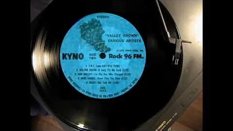 T-N-T  Love isn't Free - Valley Grown LP Compilati...