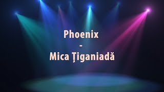Phoenix - Mica Tiganiada (versuri, lyrics, karaoke) chords