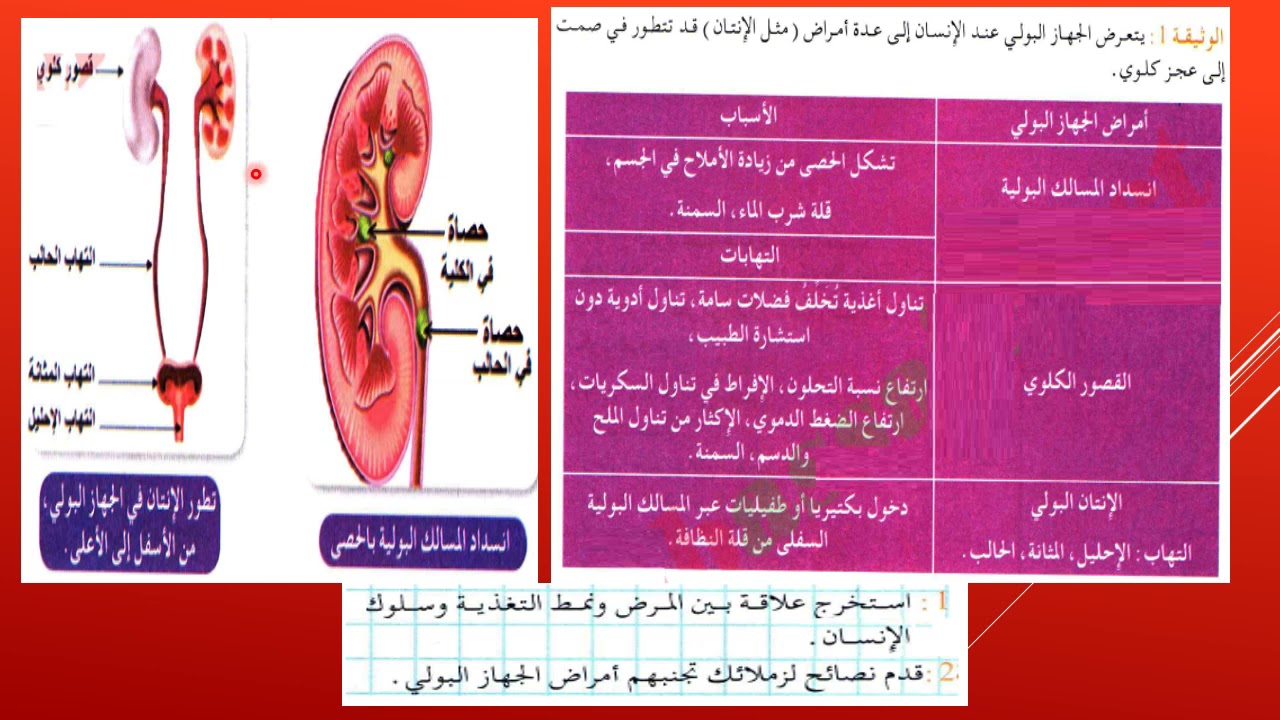 الدرس 32:احدد القواعد الصحية للاطراح علوم طبيعية 1 متوسط