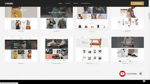 Molla - VueJS eCommerce Template 14 asynchronous Build Website