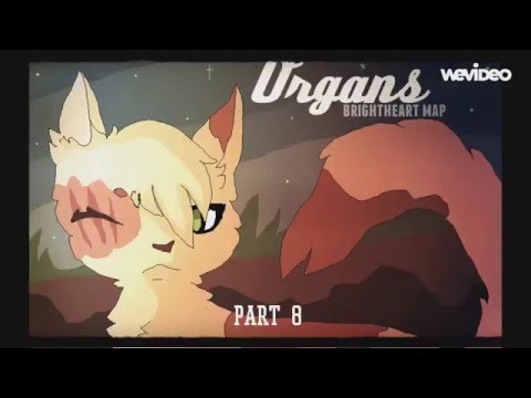 brightheart map- organs- OPEN 0/19