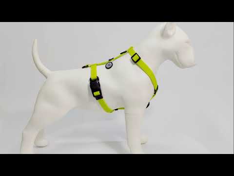 Шлея для собак водостійка анатомічна Н-подібна WAUDOG Magnet з QR-паспортом, магнітна пряжка-фастекс, S,, видео 1