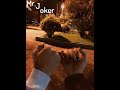 Fen Layalik Tiktok Version Fen Layalik Tiktok Version