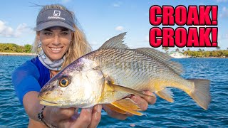 We ATE a Popular Saltwater BAIT FISH! Catch Clean Cook- CROAKER!