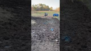 Getting Back In Shape Pt 1