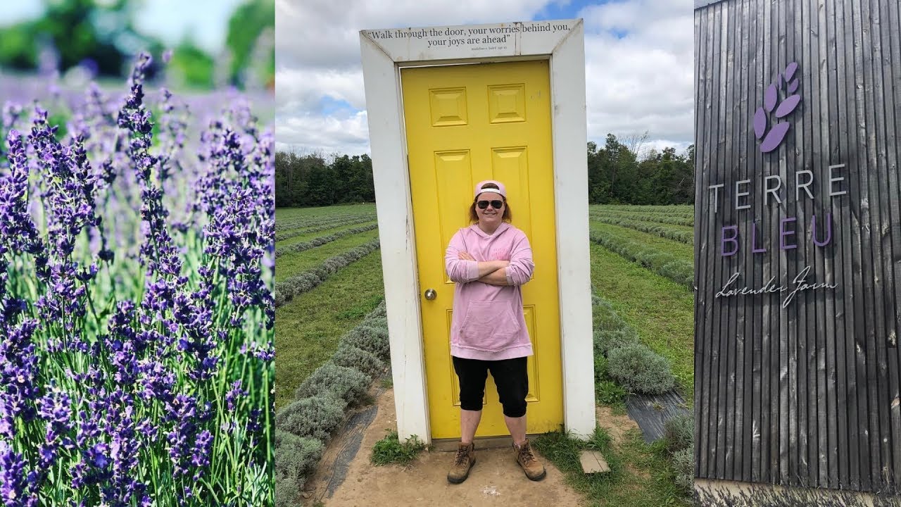 Ontario's Largest Lavender Farm!