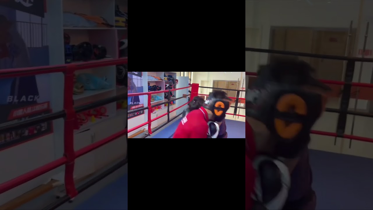 Hard Sparring #gym #sports #training #motivation #fighter #strength #status #boxing #mma