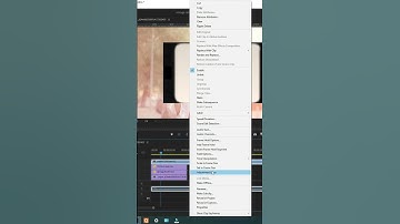 Vintage Retro Look Effect Tutorial | Premiere Pro tutorial #roocreatives #shorts #editing