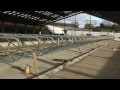 Building a Cow Shed (24) Building a Cow Shed (24)