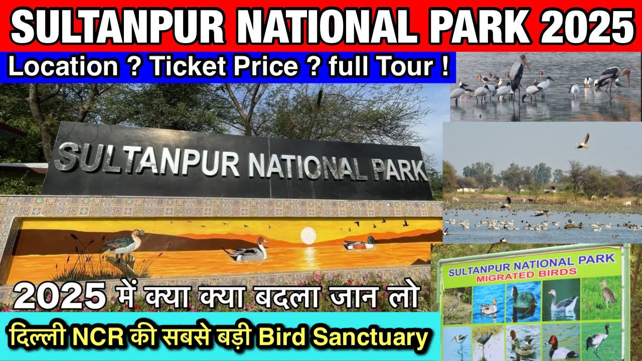 🦩Sultanpur National Park Gurugram 2025 | Sultanpur Bird Sanctuary Gurgaon | Ticket Price, Timings 