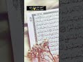 افتتاح قناة المستشار الإعلامي أحمد فهيم