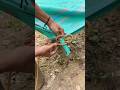 This Knot Will Be Useful 💯