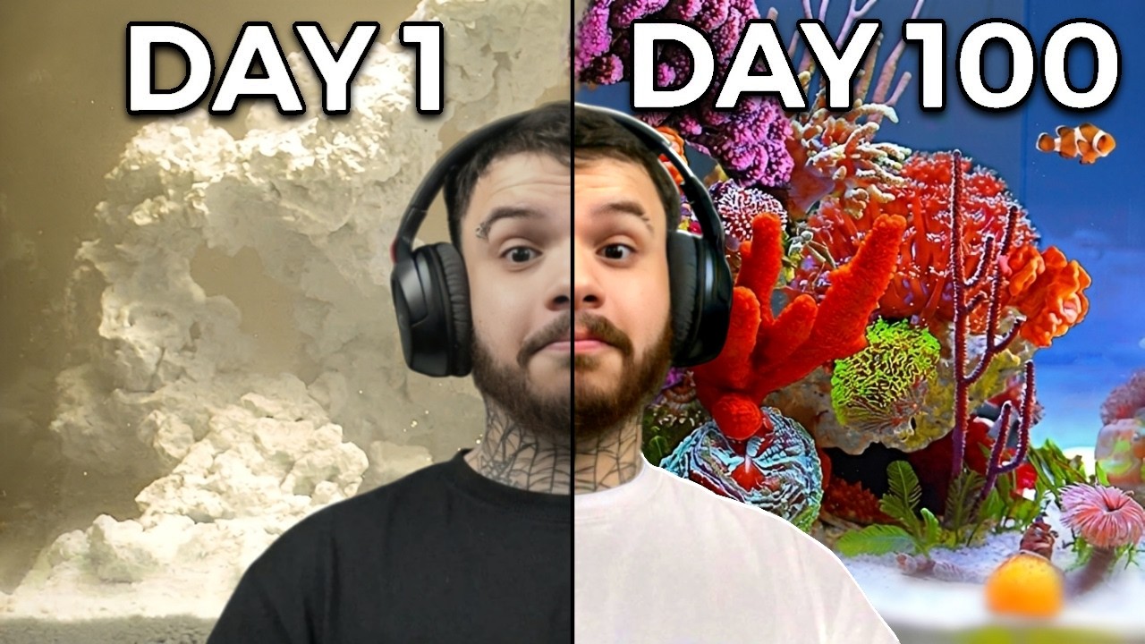 Vendo Dr. Plants (Deus) simular um RECIFE por 100 DIAS (esse cara é INSANO) - Dr. Plants