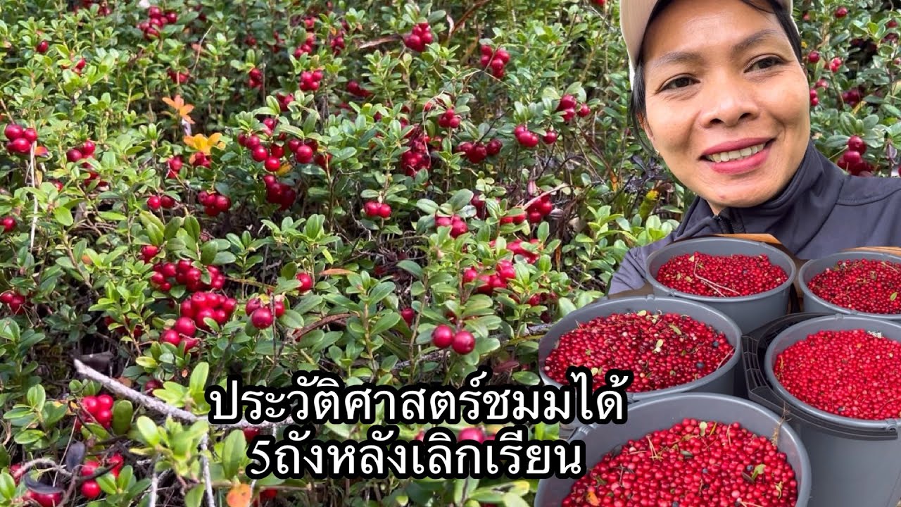 #ประวัติศาสตร์เก็บแรดเบอร์2ชมได้5ถังหลังเลิกเรียน