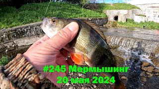 #245 Мормышинг 20 мая 2024