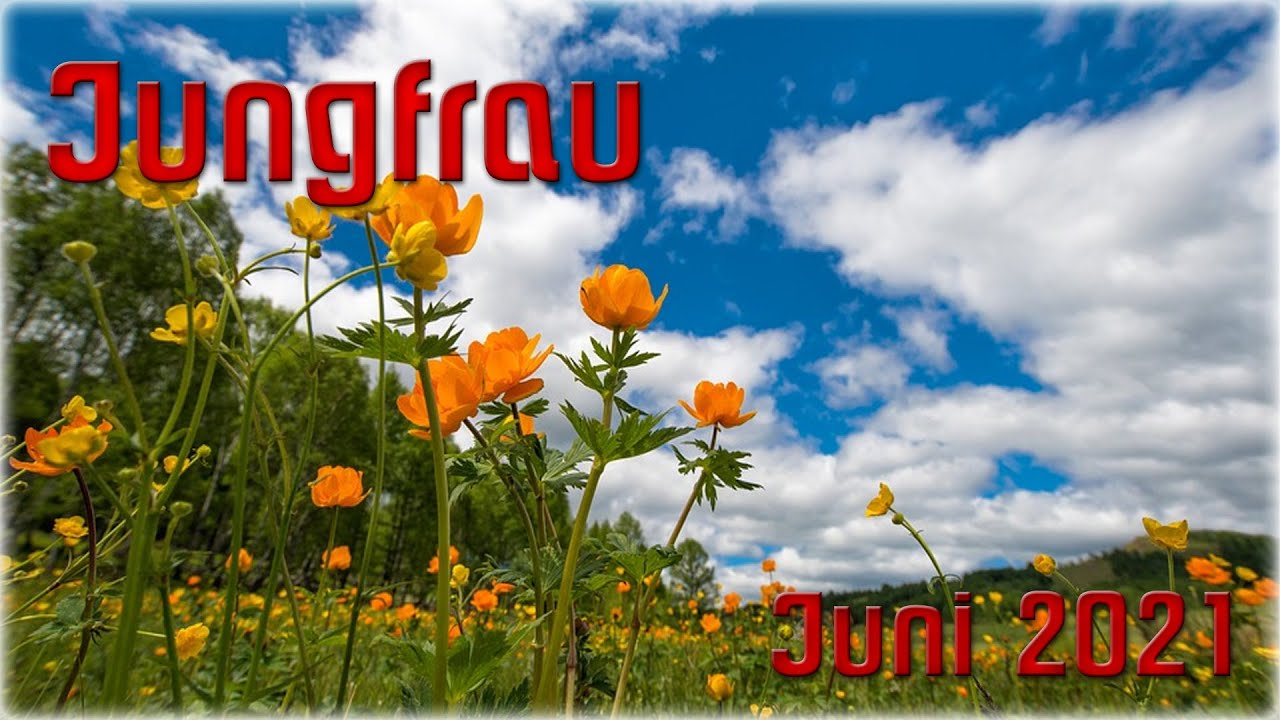 Jungfrau mädchen perfekt muschi und arschloch bilder