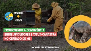 Canastras e Colmeias: promover a convivência entre apicultores e tatus-canastra no Cerrado de MS!