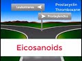 Eicosanoids in 2 minutes prostaglandins prostacyclin thromboxane and leukotrienes