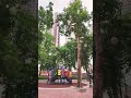 #park #hongkong #garden #trending #viral #shorts #youtubeshorts #viralvideo #shortvideo