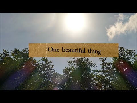 one beautiful thing