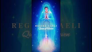 Queen of Heaven 🌸✝️🌸 #jesus  #virginmary #holymother #catholic #christianity #europe #usa #love