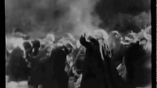 Did Pilgrims Believe in Religious Freedom?