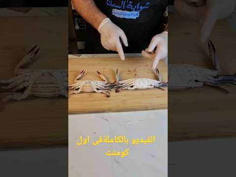 ازاى تعرف الفرق بين الكابوريا الدكر و النتاية