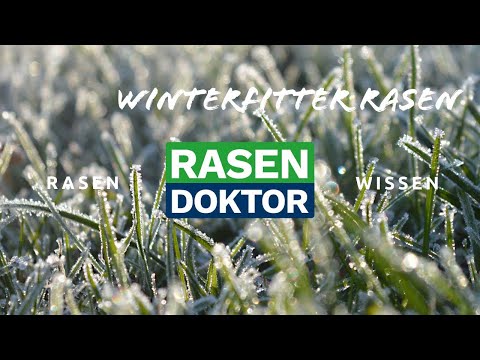 Video: Winterrasen-Hilfe: Was tun mit Ihrem Rasen im Winter?