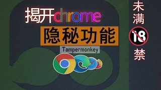 上网20年才知道的秘密Chrome浏览器隐藏的超强功能支持所有浏览器的超强插件、扩展程序|老司机福利|网络白嫖客|