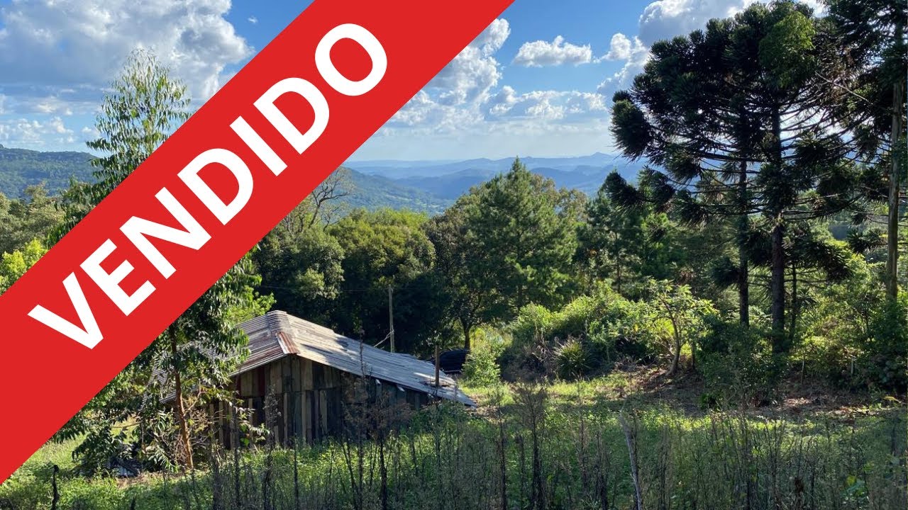 (VENDIDO) CHÁCARA RICA EM ÁGUA EM SÃO FRANCISCO DE PAULA NA SERRA GAÚCHA | APENAS R$ 150 MIL