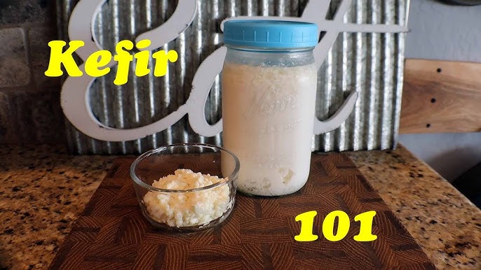 How To Make Homemade Kefir - The Petite Cook™