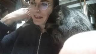 Cat Love After Work.