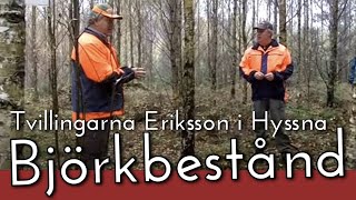 Tvillingarna Eriksson i Hyssna talar om björkbestånd