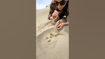 Insane Natural Gas Discovery in the Desert!