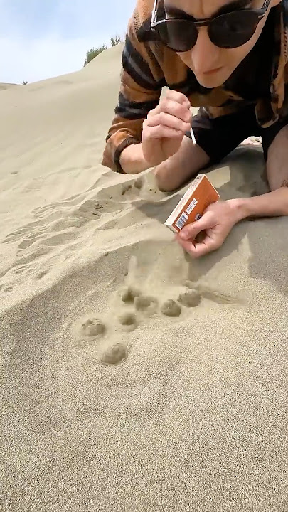 Insane Natural Gas Discovery in the Desert!