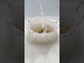 A fresh strawberry falling into milk in slow motion, splash forming красиво shapes,  #short
