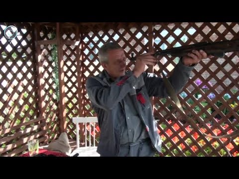 В Новосибирской области открыли охотничий сезон на бурого медведя и барсука