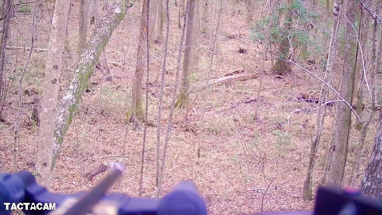Tactacam Solo footage of Alabama Whitetails on the move during bow