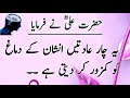 Important saying of hazrat ali  hazrat ali quotes in urdu  images collection  atif 24  part 5