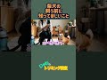 柴犬を飼う前に知ってほしいこと #shorts #トリミング #柴犬 #歴史