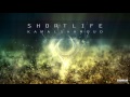Miniature de la vidéo de la chanson Dawn Of Life