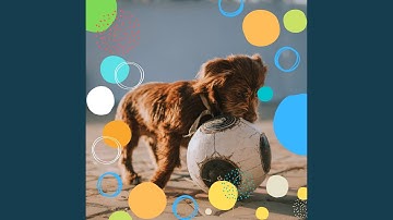 Pulsating Backdrops for Dog Sleep