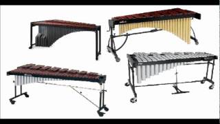 Famous Mallet Quartet Demo Net Worth
