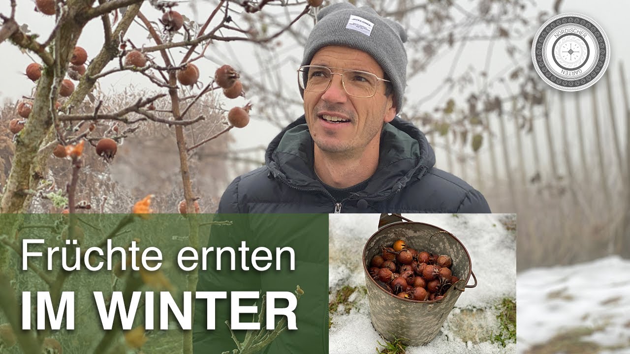 UNGLAUBLICH!!! Frische Früchte im Dezember!