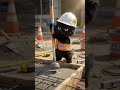 BUILDER CAT!