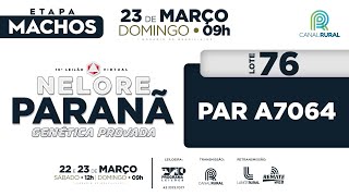 LOTE   76 PAR A7064