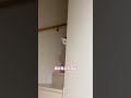 隠れてるつもりなのかな？