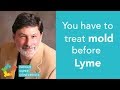 You have to treat mold before Lyme - Dr. Neil Nathan