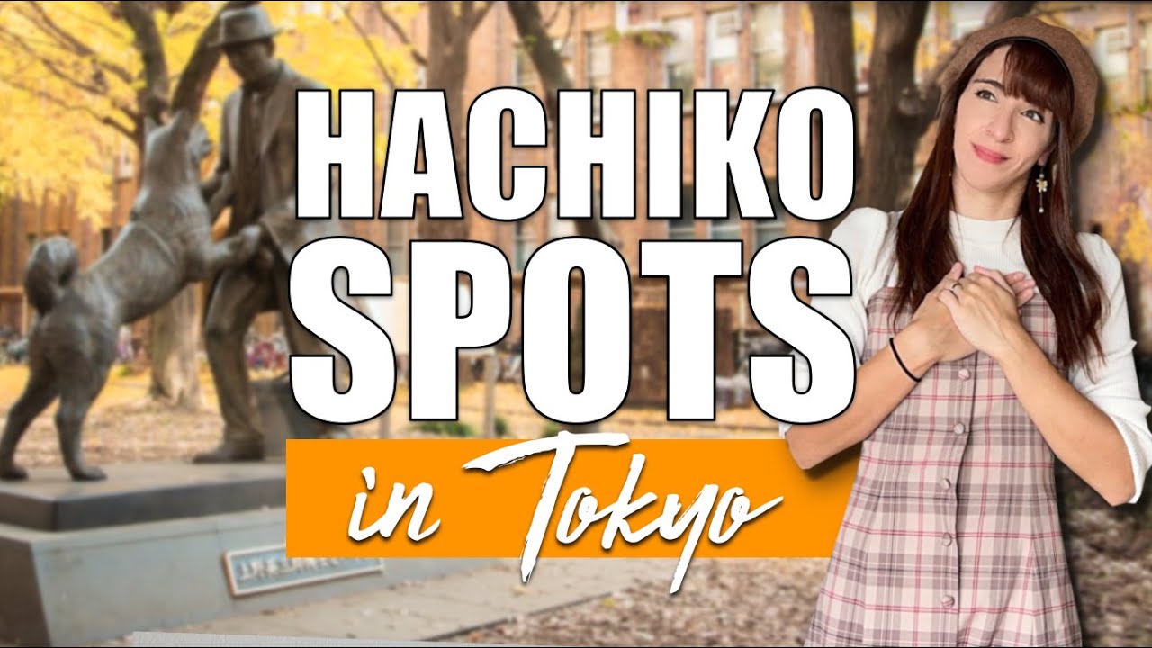5 Hachiko Locations in Tokyo 🐕 Auf den Spuren Japans treuesten Hundes